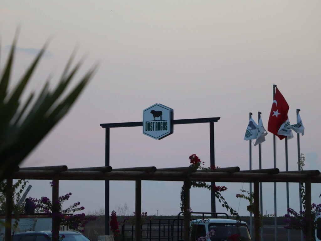 ADANA 2